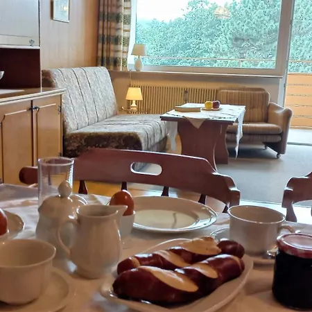 Daire Juergen Haus Kmb Seeappartement Am Ossiacher See, Hallenbad, Skiarena Gerlitzen Bodensdorf