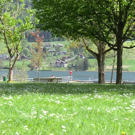 Jürgen Haus Kmb Seeappartement Am Ossiacher See, Hallenbad Und Direktem Seezugang Apartment Bodensdorf